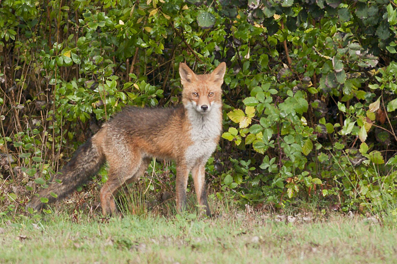 _DSC8646_small.jpg