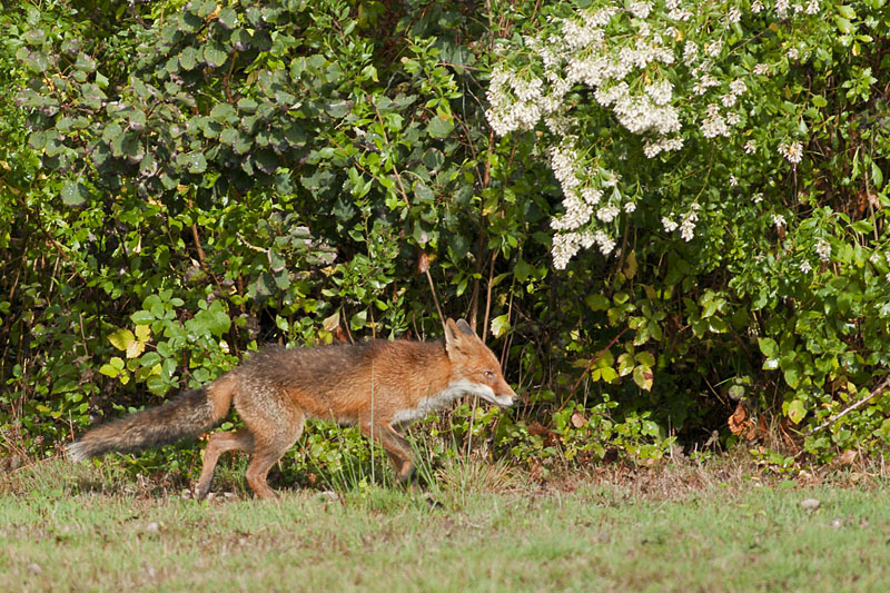 _DSC8652_small.jpg