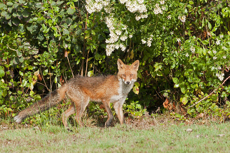 _DSC8655_small.jpg