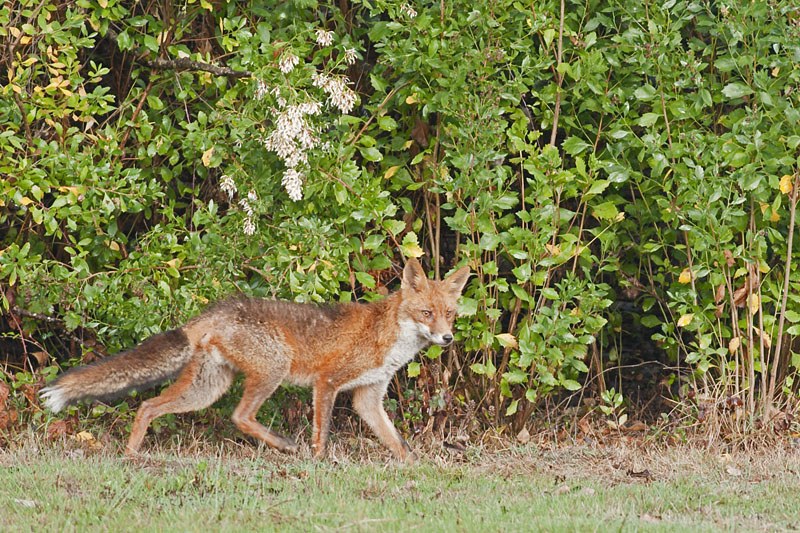 _DSC8665_small.jpg