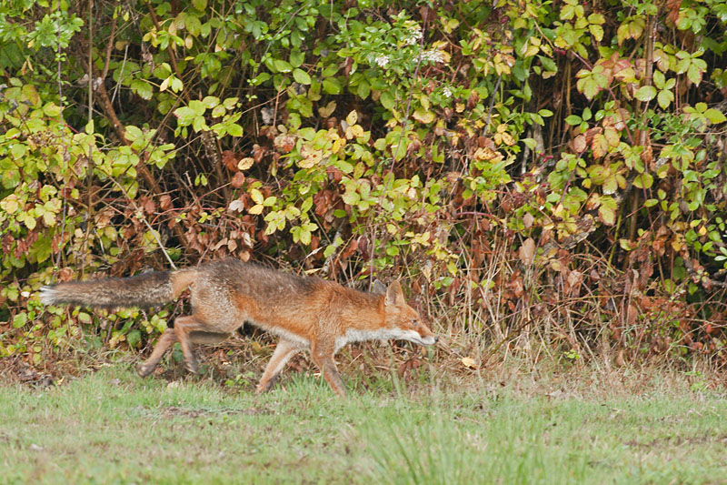 _DSC8661_small.jpg