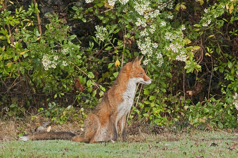 _DSC8694_small.jpg